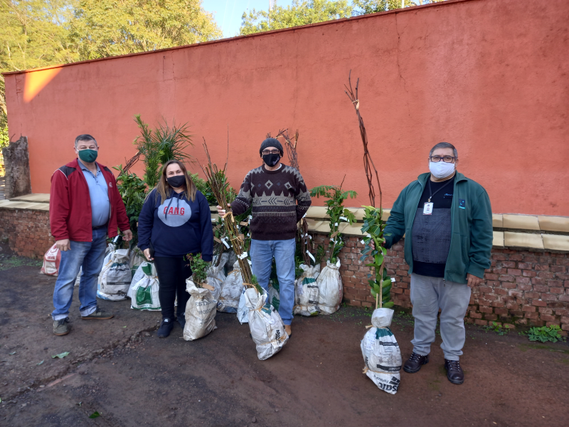 Prefeitura realiza a entrega de mudas de árvores frutíferas e diversas